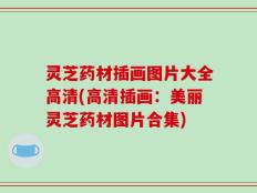 灵芝药材插画图片大全高清(高清插画：美丽灵芝药材图片合集)