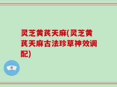 灵芝黄芪天麻(灵芝黄芪天麻古法珍草神效调配)
