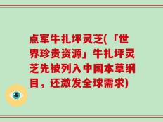 点军牛扎坪灵芝(「世界珍贵资源」牛扎坪灵芝先被列入中国本草纲目，还激发全球需求)