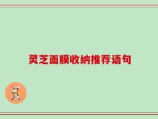 灵芝面膜收纳推荐语句