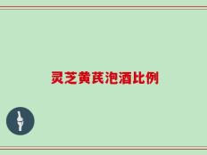 灵芝黄芪泡酒比例