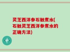 灵芝西洋参石触煮水(石触灵芝西洋参煮水的正确方法)