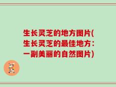 生长灵芝的地方图片(生长灵芝的最佳地方：一副美丽的自然图片)