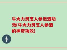 牛大力灵芝人参泡酒功效(牛大力灵芝人参酒的神奇功效)