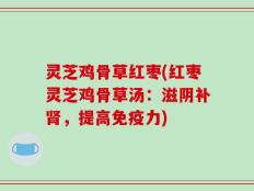 灵芝鸡骨草红枣(红枣灵芝鸡骨草汤：滋阴补肾，提高免疫力)