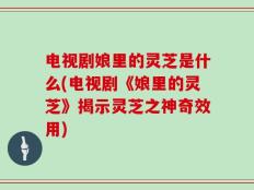 电视剧娘里的灵芝是什么(电视剧《娘里的灵芝》揭示灵芝之神奇效用)