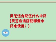 灵芝适合配伍什么中药(灵芝应该搭配哪些中药来使用？)