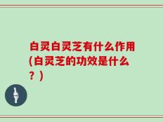 白灵白灵芝有什么作用(白灵芝的功效是什么？)