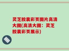 灵芝胶囊彩页图片高清大图(高清大图：灵芝胶囊彩页展示)