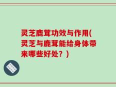 灵芝鹿茸功效与作用(灵芝与鹿茸能给身体带来哪些好处？)