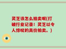 灵芝该怎么拍卖呢(打破行业记录！灵芝以令人惊叹的高价拍卖。)