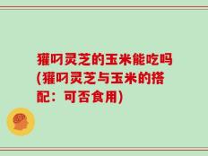 獾叼灵芝的玉米能吃吗(獾叼灵芝与玉米的搭配：可否食用)