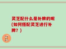 灵芝配什么是补脾的呢(如何搭配灵芝进行补脾？)