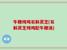 牛鞭炖鸡石斛灵芝(石斛灵芝炖鸡配牛鞭汤)