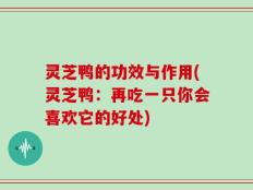 灵芝鸭的功效与作用(灵芝鸭：再吃一只你会喜欢它的好处)