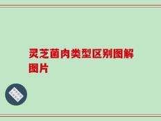 灵芝菌肉类型区别图解图片