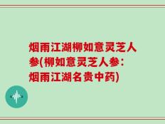 烟雨江湖柳如意灵芝人参(柳如意灵芝人参：烟雨江湖名贵中药)