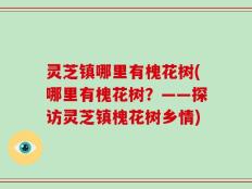灵芝镇哪里有槐花树(哪里有槐花树？——探访灵芝镇槐花树乡情)