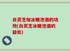 白灵芝加冰糖泡酒的功效(白灵芝冰糖泡酒的益处)