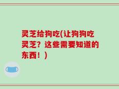 灵芝给狗吃(让狗狗吃灵芝？这些需要知道的东西！)