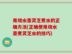 用烧水壶灵芝煮水的正确方法(正确使用烧水壶煮灵芝水的技巧)