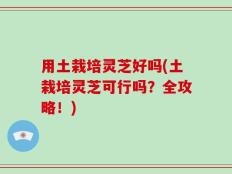 用土栽培灵芝好吗(土栽培灵芝可行吗？全攻略！)