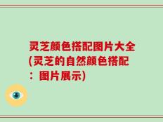 灵芝颜色搭配图片大全(灵芝的自然颜色搭配：图片展示)