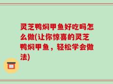 灵芝鸭焖甲鱼好吃吗怎么做(让你惊喜的灵芝鸭焖甲鱼，轻松学会做法)