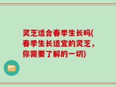 灵芝适合春季生长吗(春季生长适宜的灵芝，你需要了解的一切)