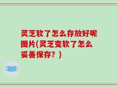 灵芝软了怎么存放好呢图片(灵芝变软了怎么妥善保存？)