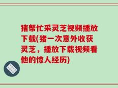 猪帮忙采灵芝视频播放下载(猪一次意外收获灵芝，播放下载视频看他的惊人经历)