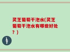 灵芝葡萄干泡水(灵芝葡萄干泡水有哪些好处？)