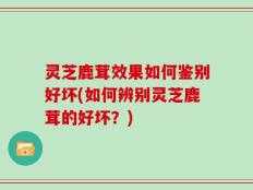 灵芝鹿茸效果如何鉴别好坏(如何辨别灵芝鹿茸的好坏？)