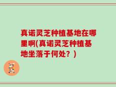 真诺灵芝种植基地在哪里啊(真诺灵芝种植基地坐落于何处？)