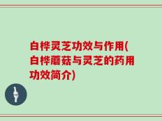 白桦灵芝功效与作用(白桦蘑菇与灵芝的药用功效简介)