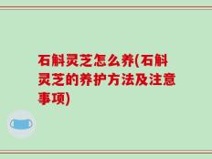 石斛灵芝怎么养(石斛灵芝的养护方法及注意事项)