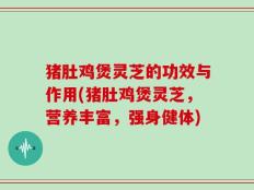 猪肚鸡煲灵芝的功效与作用(猪肚鸡煲灵芝，营养丰富，强身健体)