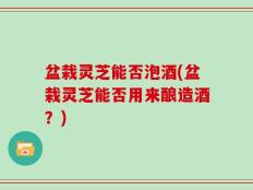 盆栽灵芝能否泡酒(盆栽灵芝能否用来酿造酒？)