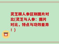 灵芝跟人参区别图片对比(灵芝与人参：图片对比，特点与功效差异！)
