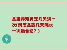 盆里养殖灵芝几天浇一次(灵芝盆栽几天浇水一次最合适？)