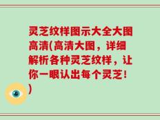 灵芝纹样图示大全大图高清(高清大图，详细解析各种灵芝纹样，让你一眼认出每个灵芝！)