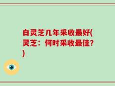 白灵芝几年采收最好(灵芝：何时采收最佳？)