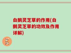 白鹅灵芝草的作用(白鹅灵芝草的功效及作用详解)