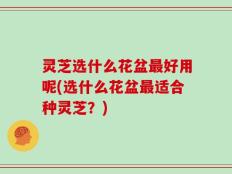 灵芝选什么花盆最好用呢(选什么花盆最适合种灵芝？)