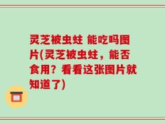 灵芝被虫蛀 能吃吗图片(灵芝被虫蛀，能否食用？看看这张图片就知道了)