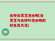 白桦白灵芝泡水喝(白灵芝与白桦叶泡水喝的好处及方法)