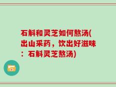 石斛和灵芝如何熬汤(出山采药，饮出好滋味：石斛灵芝熬汤)