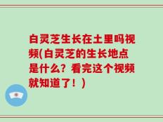 白灵芝生长在土里吗视频(白灵芝的生长地点是什么？看完这个视频就知道了！)