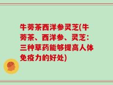牛蒡茶西洋参灵芝(牛蒡茶、西洋参、灵芝：三种草药能够提高人体免疫力的好处)