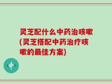 灵芝配什么中药治咳嗽(灵芝搭配中药治疗咳嗽的最佳方案)